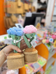 Chậu hoa len NU