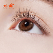 Bấm mi tim Nhật hộp xanh