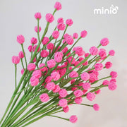 Hoa len cành điểm