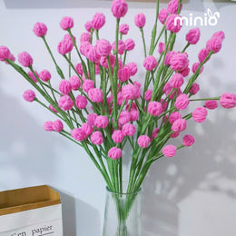 Hoa len cành điểm