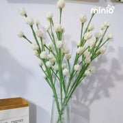 Hoa len cành điểm