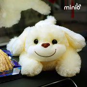 Chó nằm nơ lưng NB