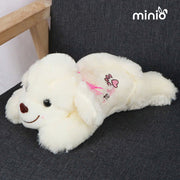 Chó nằm nơ lưng NB