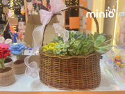 Giỏ sen đá tổng hợp