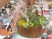 Giỏ sen đá tổng hợp