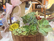 Giỏ sen đá tổng hợp