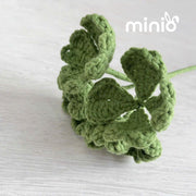 Cành lá cỏ 4 lá may mắn