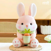 Thỏ ôm chậu cà rốt