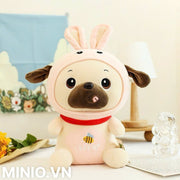 Bộ sưu tập gấu chó nhỡ