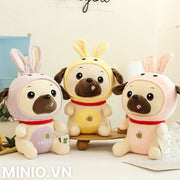 Bộ sưu tập gấu chó nhỡ