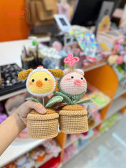 Chậu hoa len đầu thú NU