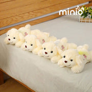 Chó nằm nơ lưng NB