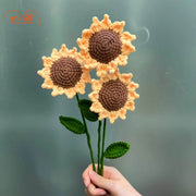 Hoa len hướng dương 11cm