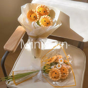 Hoa len hướng dương mặt cười