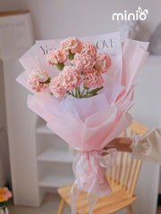 Hoa len cẩm chướng