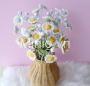 Hoa len cúc họa mi