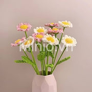 Hoa len cúc họa mi