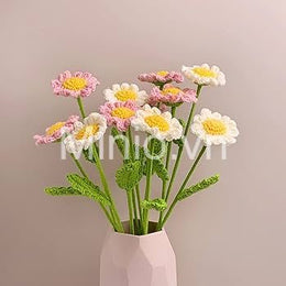 Hoa len cúc họa mi