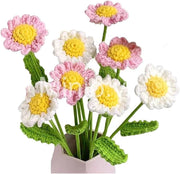 Hoa len cúc họa mi