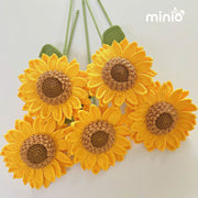 Hoa len hướng dương đại