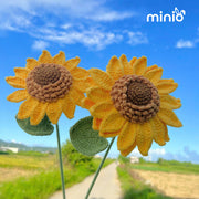 Hoa len hướng dương đại