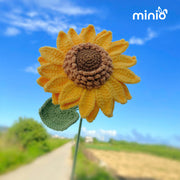 Hoa len hướng dương đại