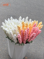 Hoa len Lanvender NU