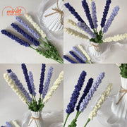 Hoa len Lanvender NU