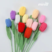 Hoa Tulip cánh mềm