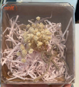 Hộp quà mica vuông kraft kèm hoa, giấy rơm