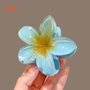Kẹp càng cua hoa sứ 5cm