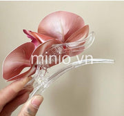 Kẹp lan hồ điệp 2 bông