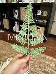 Lá dương xỉ len LA