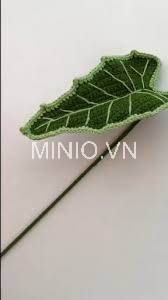 Lá môn len gân xanh