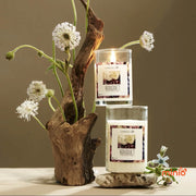 Nến thơm thiên nhiên Agaya 100g