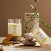 Nến thơm thiên nhiên Agaya 100g