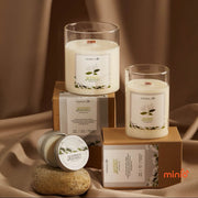 Nến thơm thiên nhiên Agaya 100g