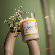 Nến thơm thiên nhiên Agaya 100g