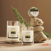 Nến thơm thiên nhiên Agaya 100g