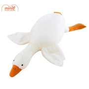 Vịt trời nằm nhỡ