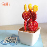 Xương rồng trang trí