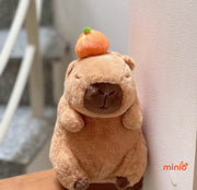 Capybara trái cam