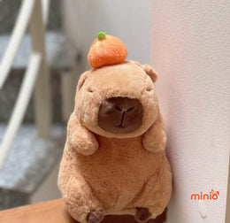 Capybara trái cam