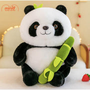 Gấu trúc ôm cành trúc