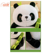 Gấu trúc ôm cành trúc