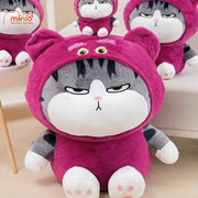 Mèo cosplay gấu dâu