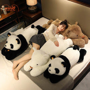 Gấu trúc nằm tay dài