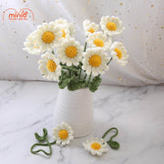 Hoa len cúc cánh dài