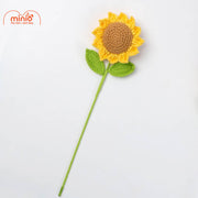 Hoa len hướng dương mini