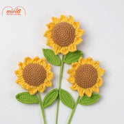 Hoa len hướng dương mini